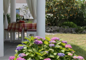  Villa Mandolina Apartments  Задар